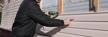 Best Vinyl Siding Installation  in Farmington, NM